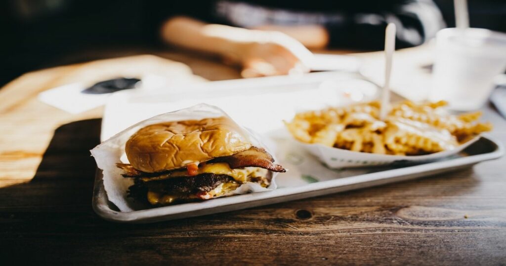 Cheese burger and fries in New York