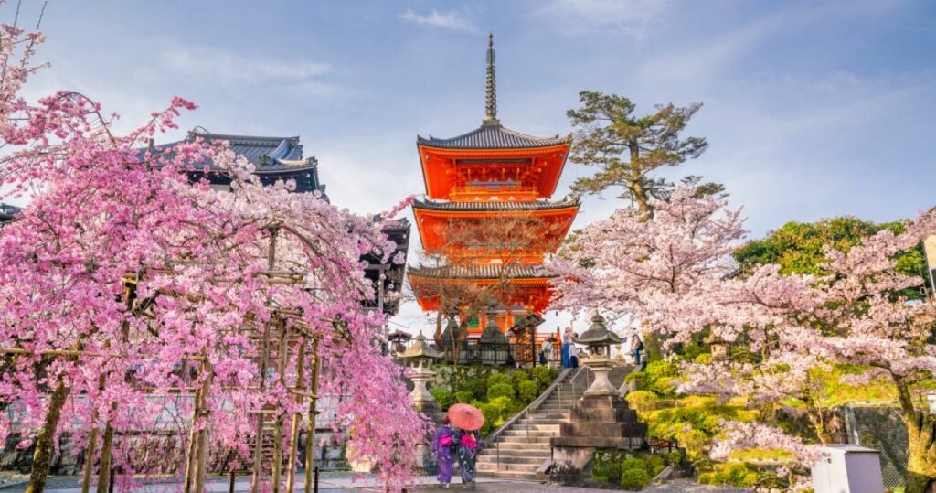 Cherry blossom season, Kyoto, Japan