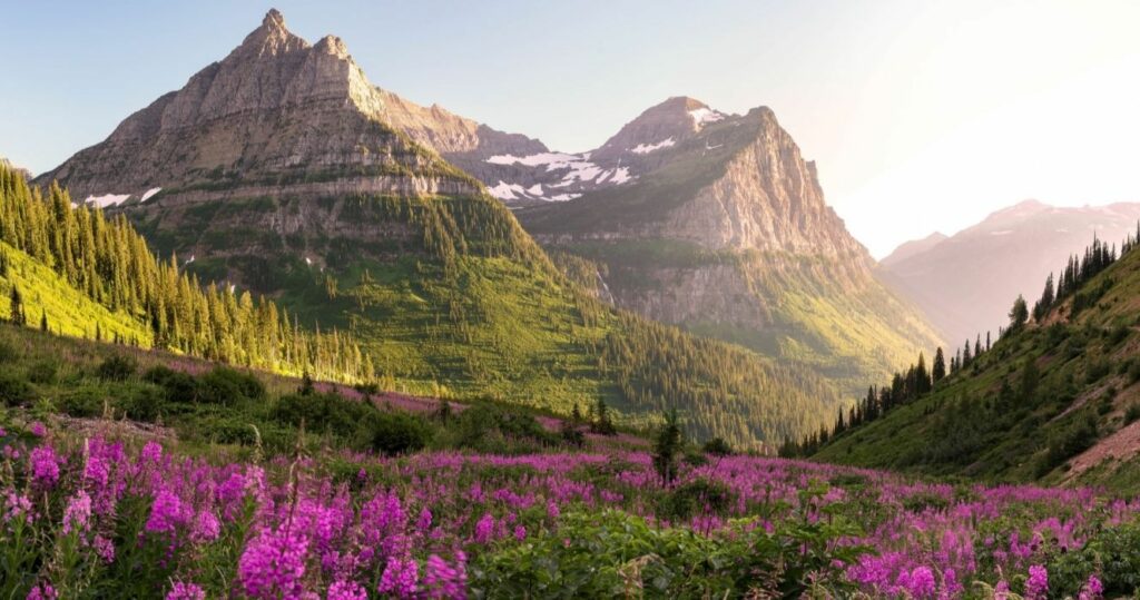 glacier national park in the summer