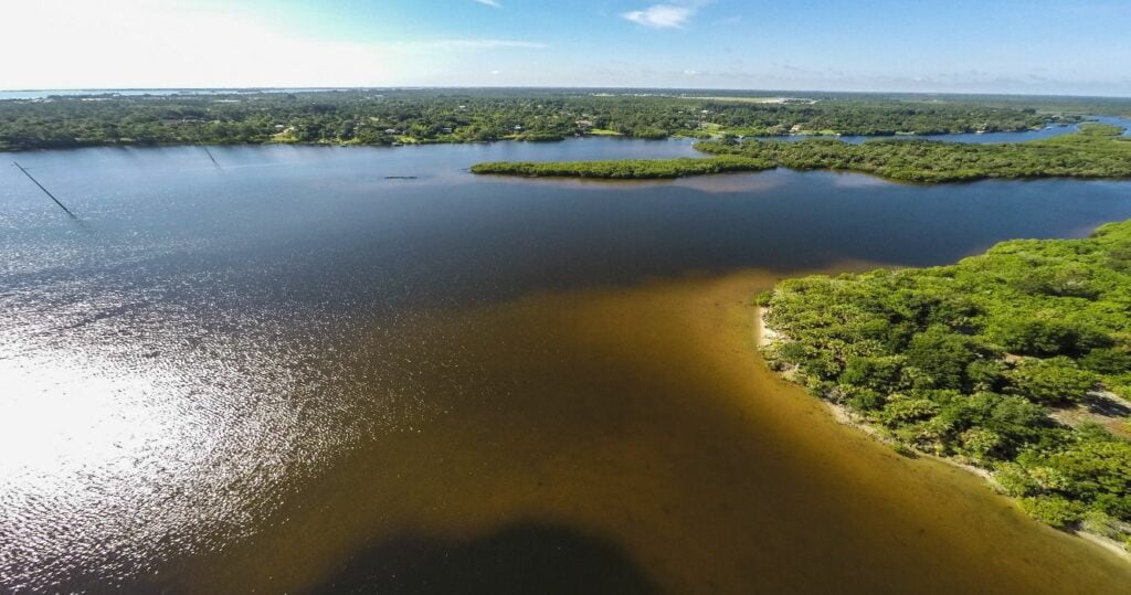 Indian River Lagoon Jungle Trail with swamp wetlands and trees near Vero Beach, Florida