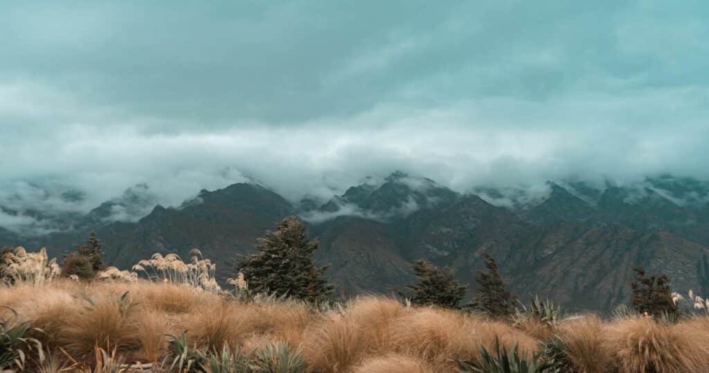 North Island in New Zealand