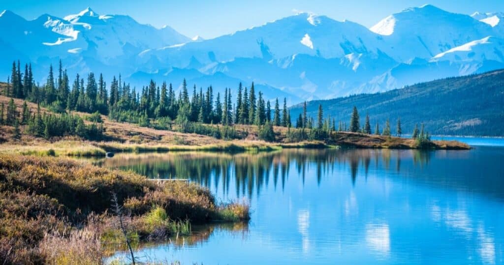 Denali National Park