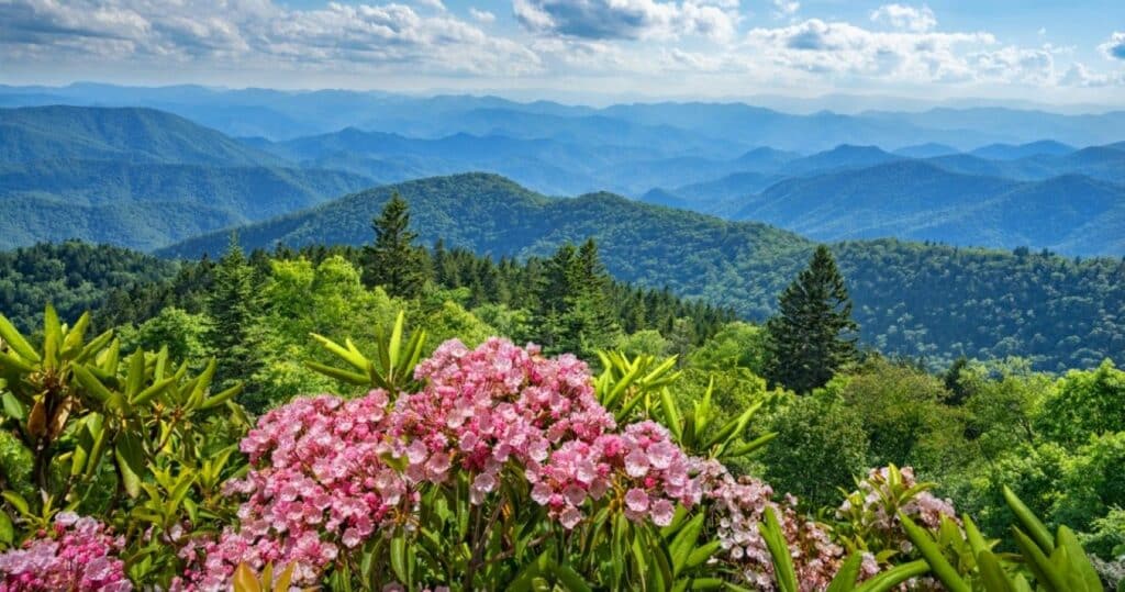 Smoky Mountains panoramic view from the Blue Ridge Parkway