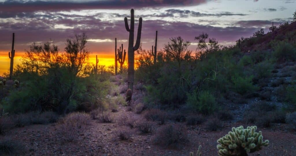 Phoenix, Arizona at night