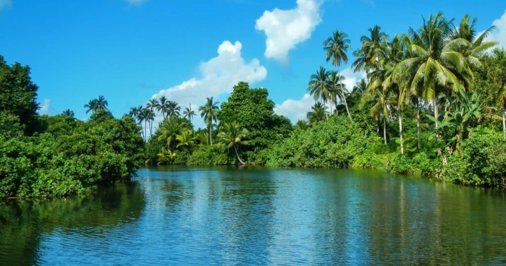 River in Bouma village on Taveuni Island, Fiji