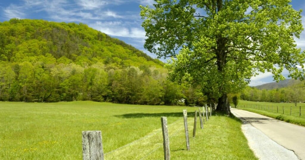 Cades Cove Loop Road in Great Smoky Mountains National Park, Tennessee