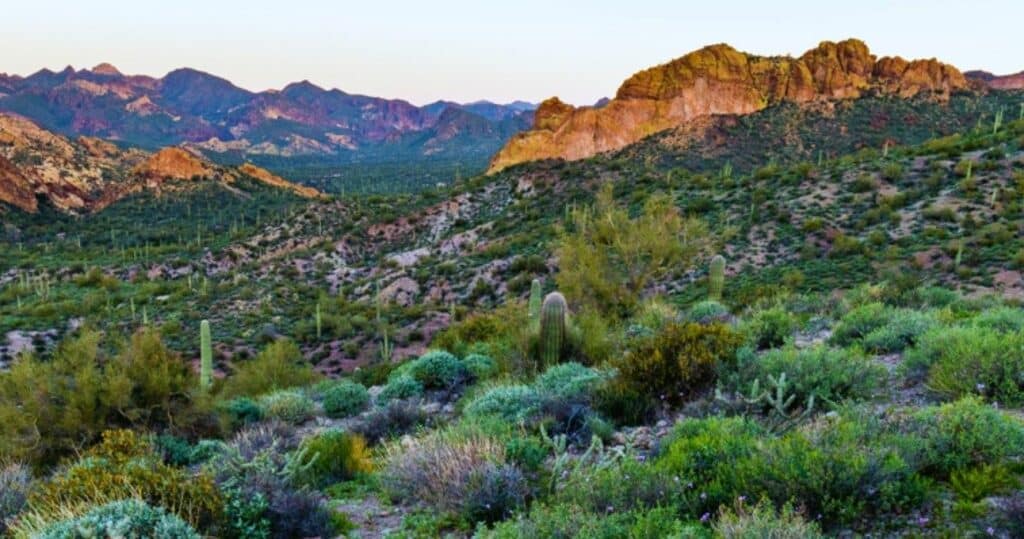 Tonto National Forest, Arizona