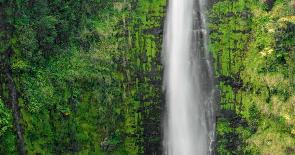 Akaka Waterfalls in Akaka Falls State Park, Big Island, Hawaii