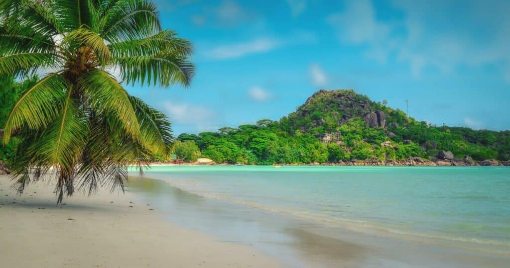 A white sand beach with palm trees and turquoise ocean in Praslin, Seychelles