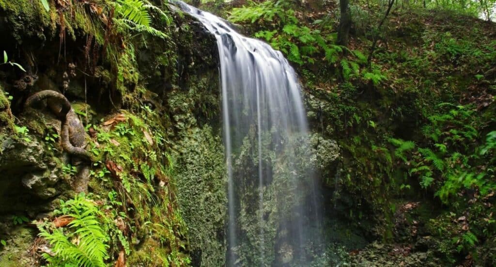 Falling Waters State Park in Northern Florida