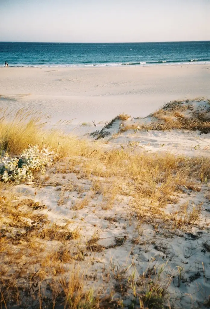 Golden beach dunes leading to the ocean in Tarifa, Spain, captured at sunset.
