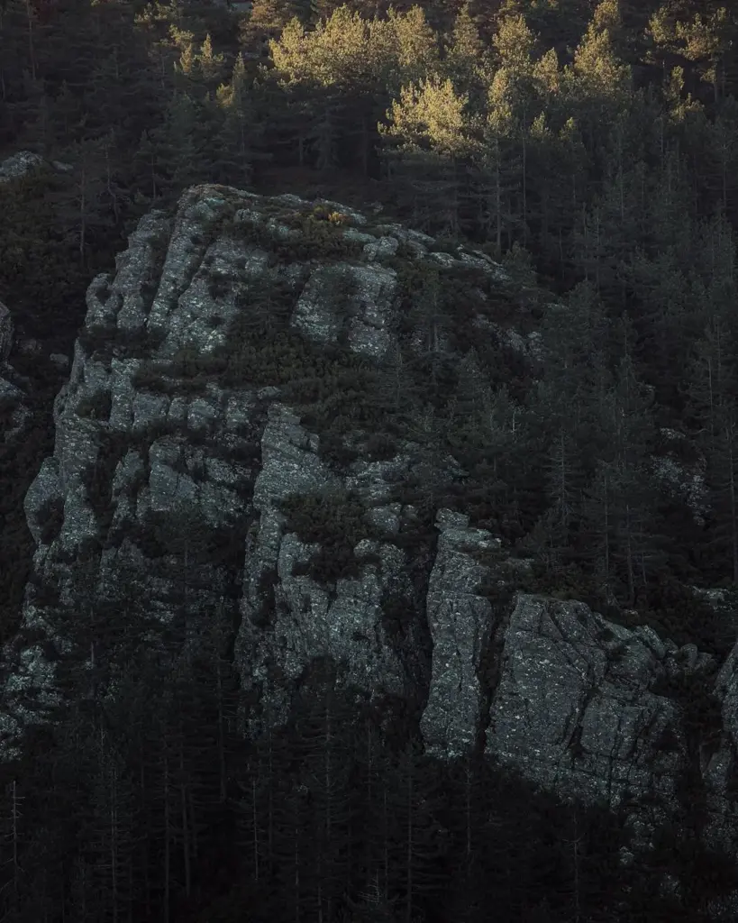 Moody forest scene in Vila Real District, highlighting rocky formations and pine trees.