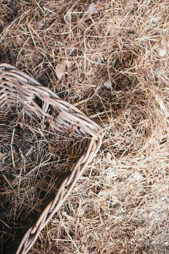 Close-up of a wicker basket on hay, highlighting texture and earthy tones.