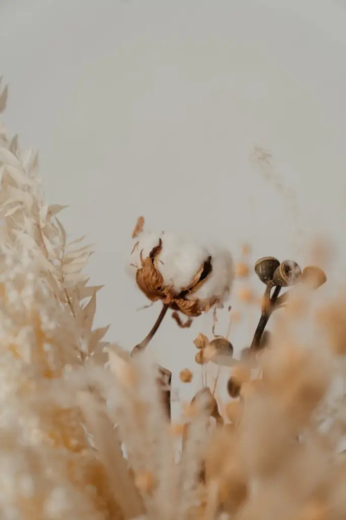 Artistic close-up of dried floral bouquet featuring cotton balls and eucalyptus against a soft backdrop.