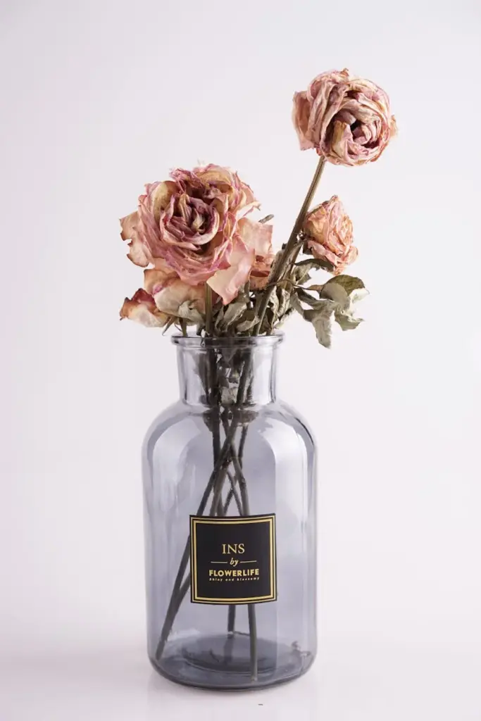 Aesthetic arrangement of dried pink roses in a sleek glass vase, perfect for a minimalist decor.