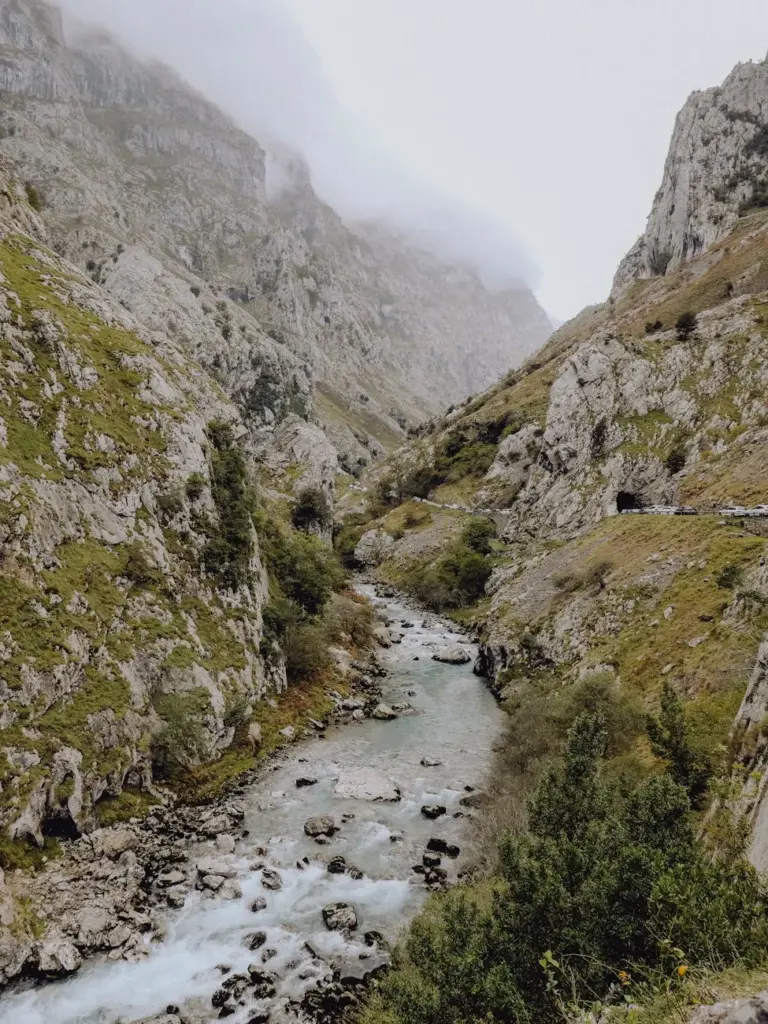 Breathtaking view of a river gorge surrounded by rocky cliffs in Picos de Europa, Asturias, Spain.