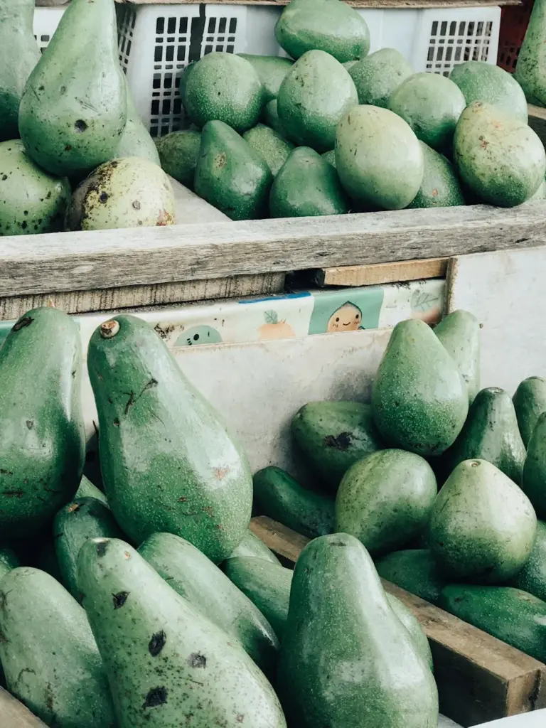 Close-up shot of fresh green avocados displayed at a local fruit stand for sale.