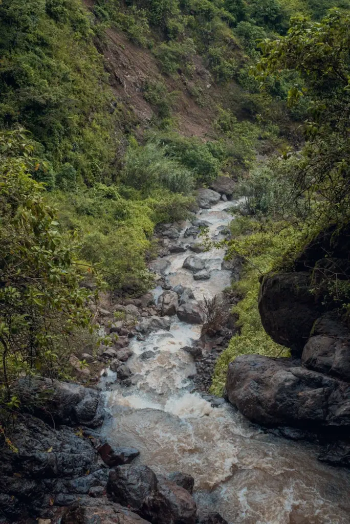 Scenic view of a flowing stream with lush greenery and rocks in San Pablo, Cajamarca, Perú.