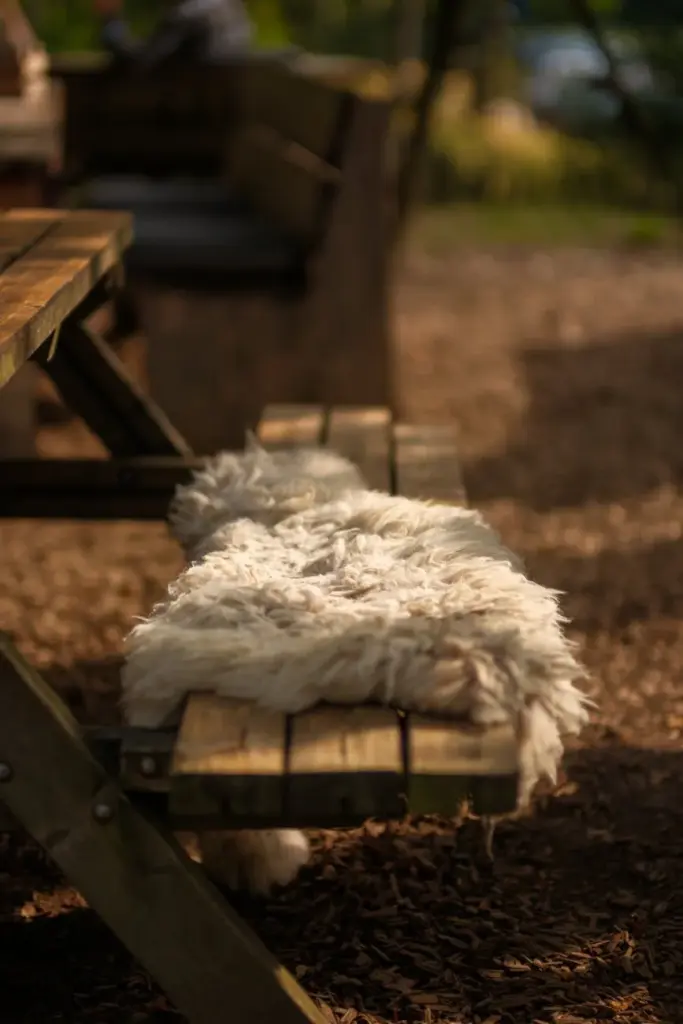 Rustic outdoor seating with a cozy sheep fur rug on a wooden bench in Utrecht.