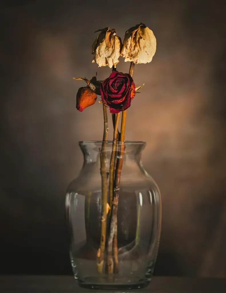 Beautifully captured dried roses in a clear glass vase, showcasing an artistic and vintage aesthetic.