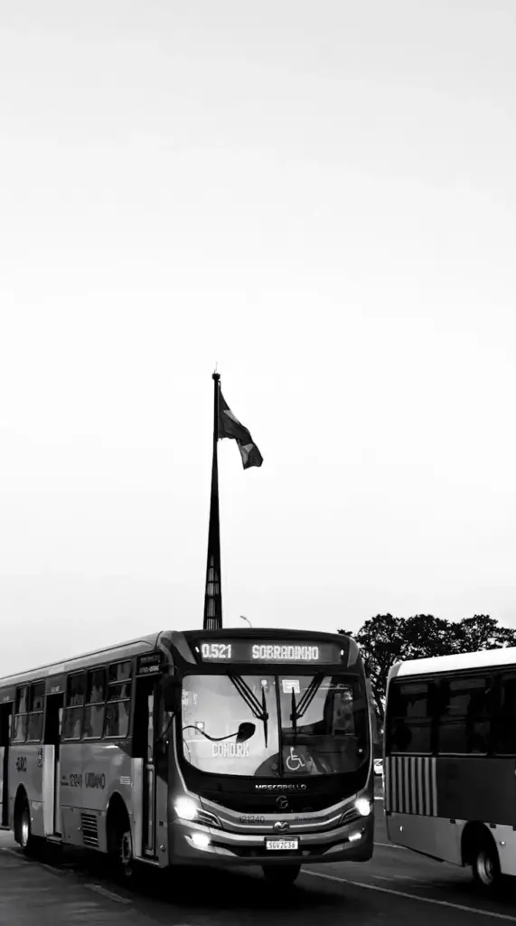 Black and white city bus scene, showcasing urban transportation with flag backdrop.