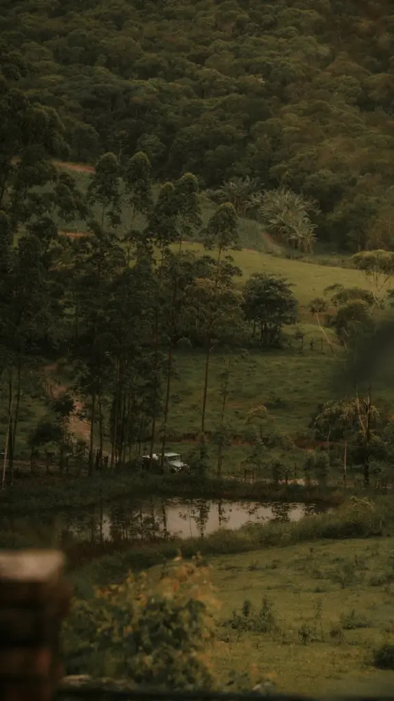 A tranquil forest scene featuring tall trees and a calm reflective pond under a lush green canopy.