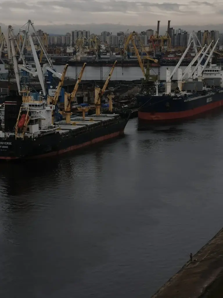 Ships docked at Saint Petersburg harbor captured on a cloudy day.