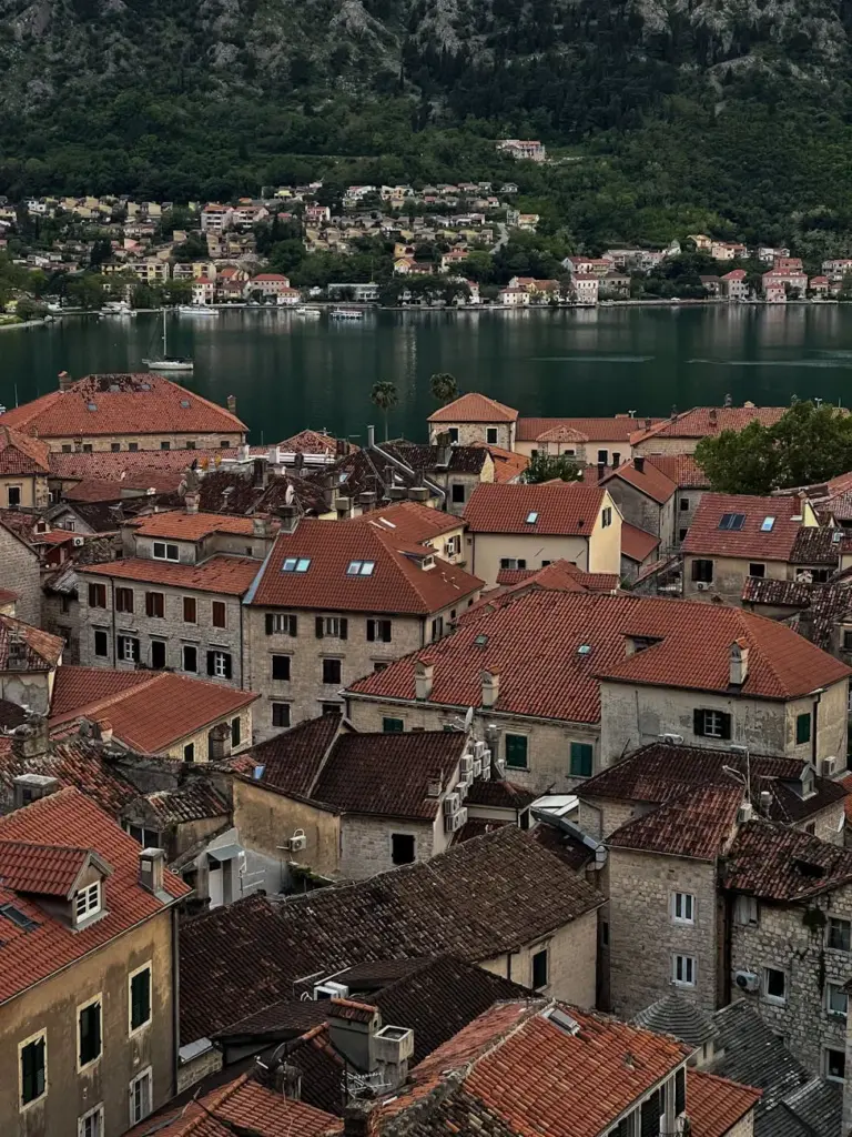 Charming aerial view of Kotor's old town rooftops with bay background, vibrant Mediterranean scene.