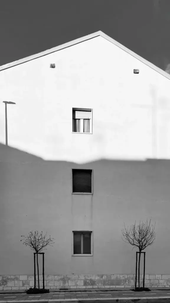 Grayscale image of a minimalist building facade with bare trees.