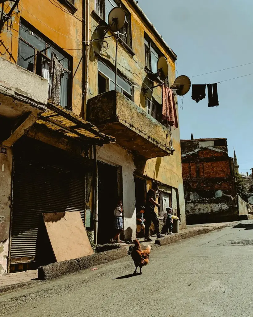 A lively urban street view featuring sunlit buildings and a wandering hen under a clear sky.