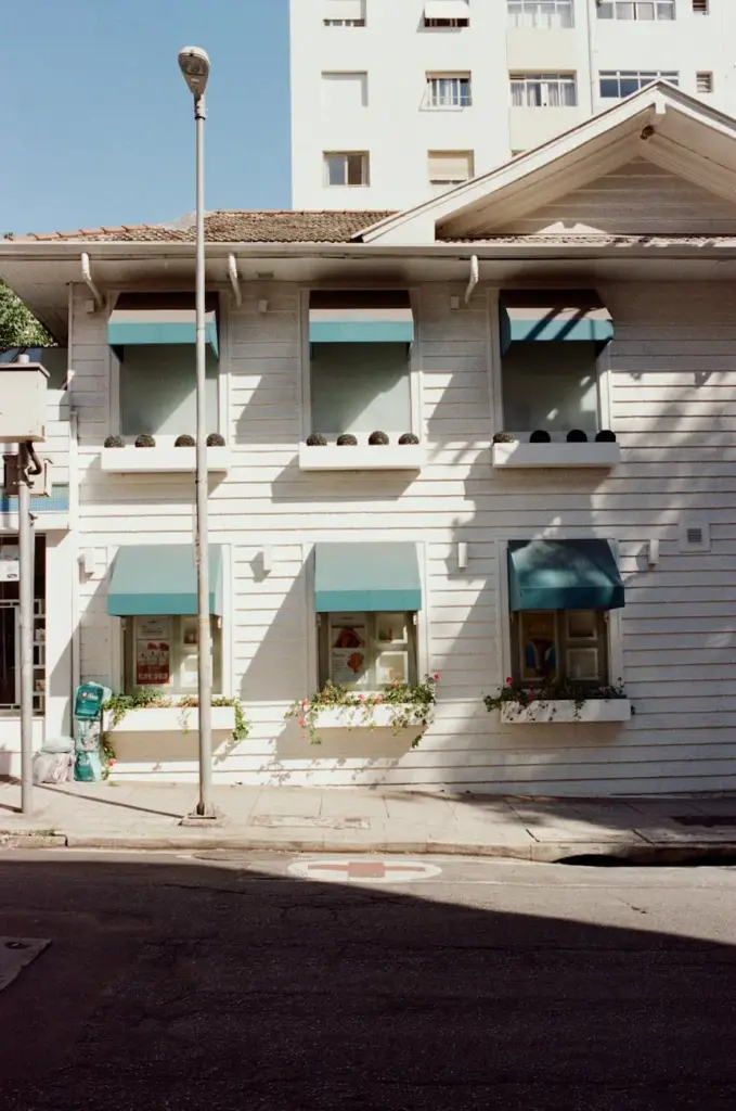 Building exteriors with canopies above windows and plants against asphalt roadway with shadows in city