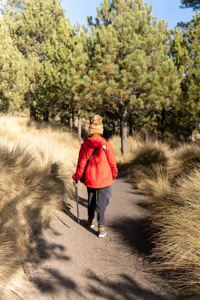 A lone hiker in a red jacket walks through a sunlit forest trail in Puebla, Mexico.