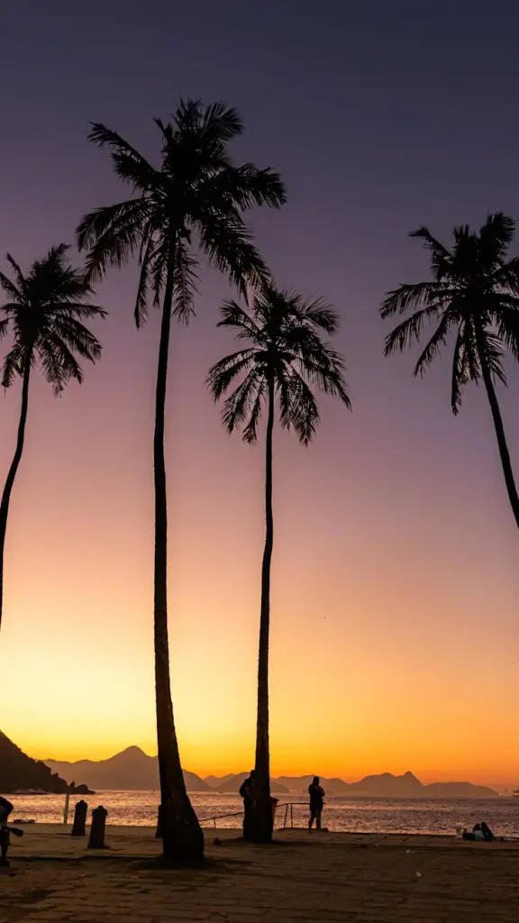 Silhouettes of palm trees at sunset with a stunning view of Rio de Janeiro's coastline.