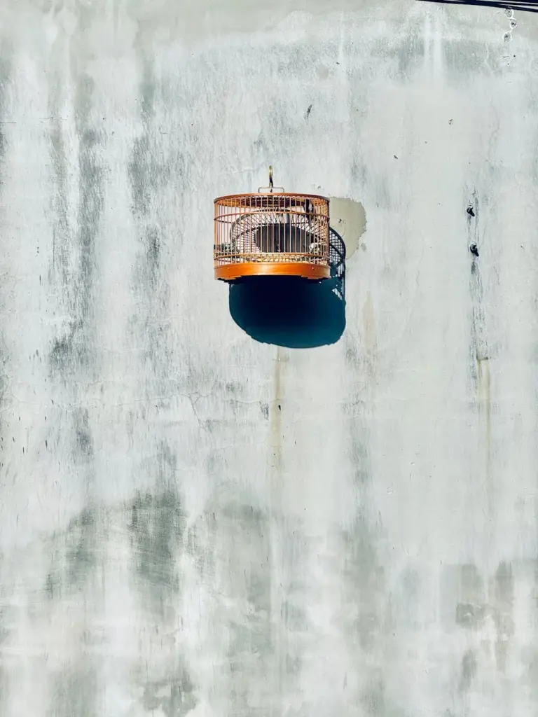 A vintage birdcage casting a shadow on a weathered wall in Xi Cheng Qu, Beijing, China.