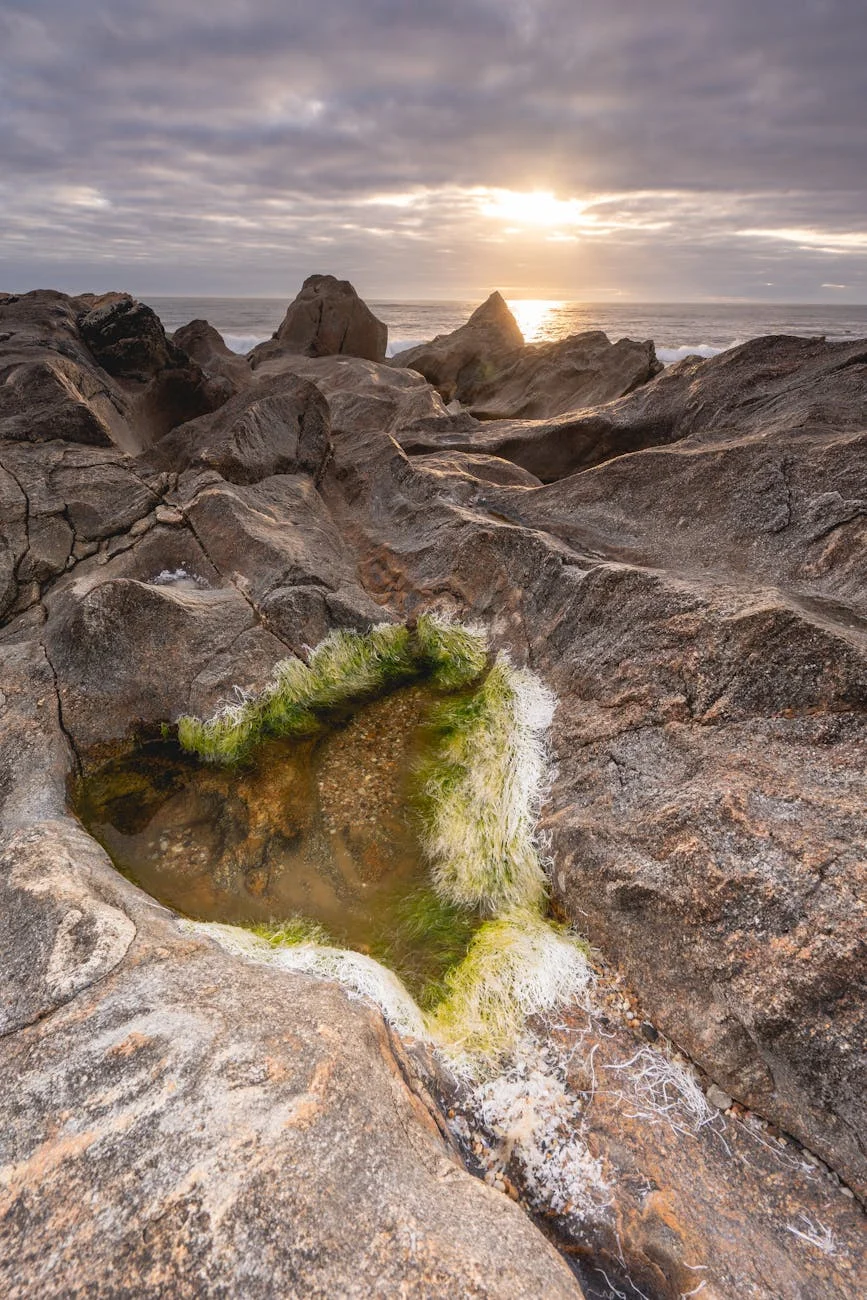 Breathtaking sunset over the rocky shoreline in Vila Nova de Gaia, Porto, Portugal.