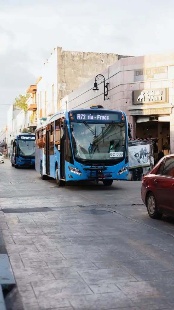 View of a city street with blue buses and cars, showcasing urban public transportation.