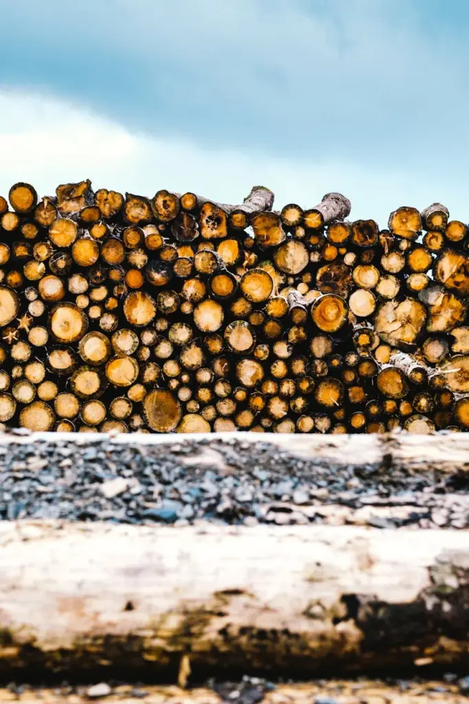 Vertical shot of stacked logs in Harz, Germany. Perfect for nature and forestry themes.
