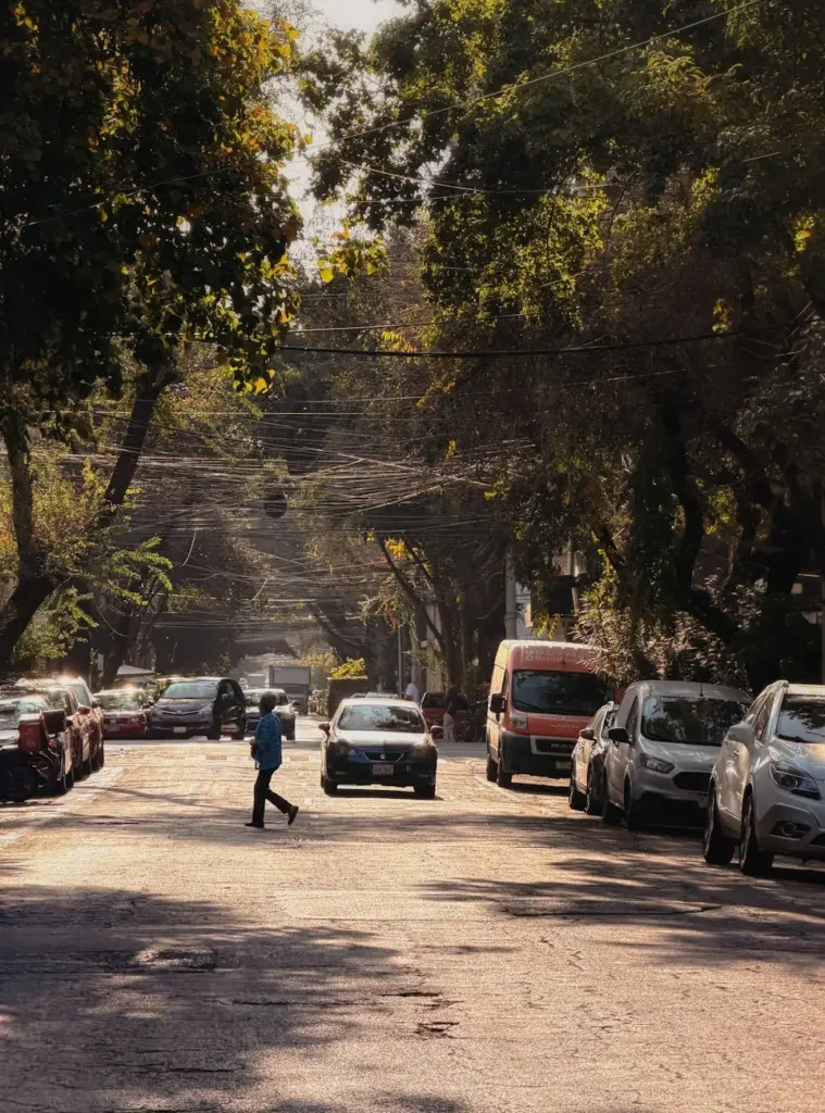 A tranquil urban street with cars parked, trees, and a lone pedestrian crossing.