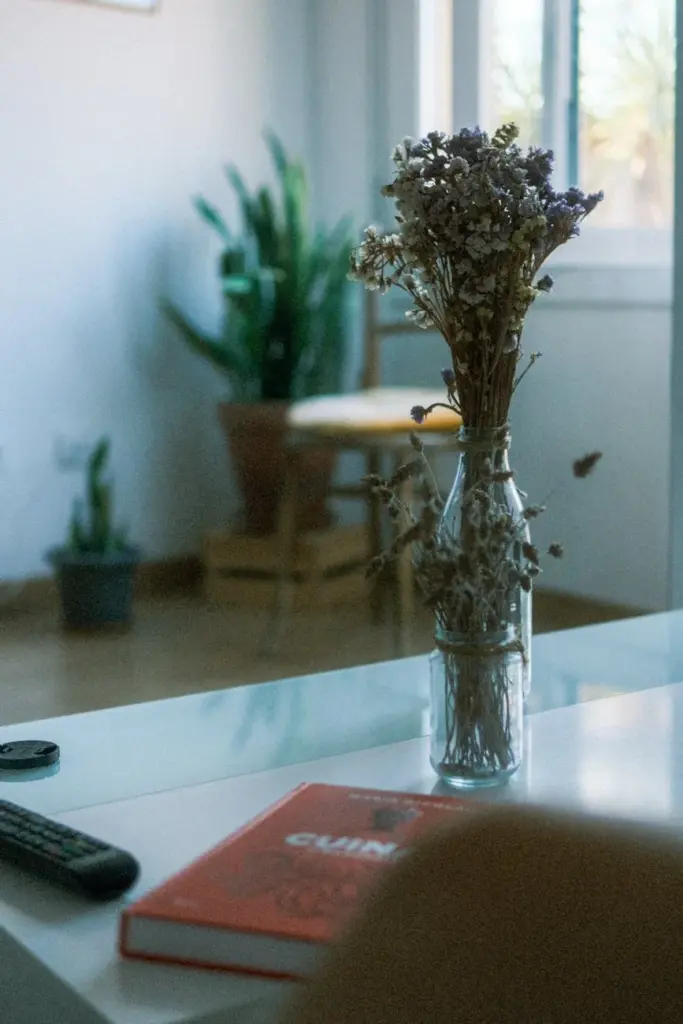 Minimalist living room with dried flowers in a vase, book, and natural light.
