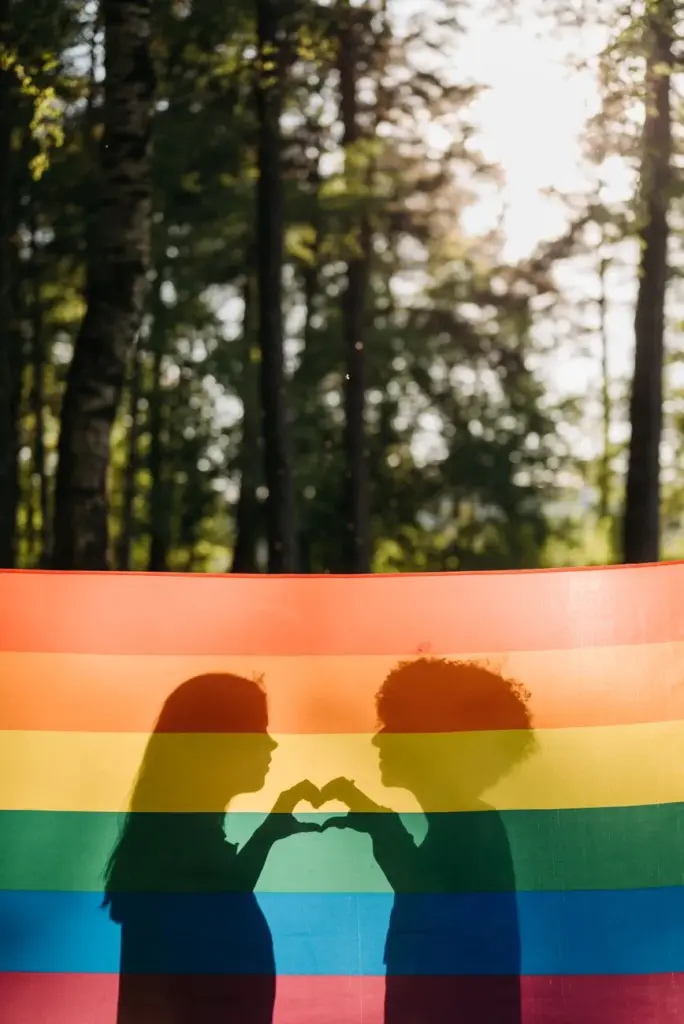 Silhouettes of a couple forming a heart behind a pride flag in a forest setting.
