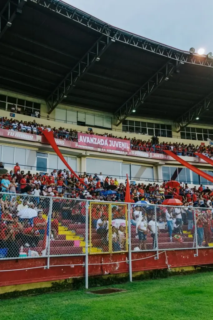 Lively crowd of spectators cheering at a large stadium, banners displayed.