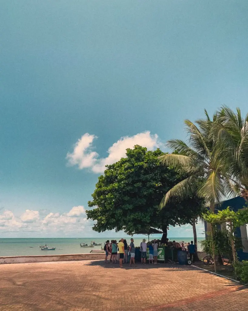 Vivid beach scene in João Pessoa, showcasing palm trees and blue ocean.