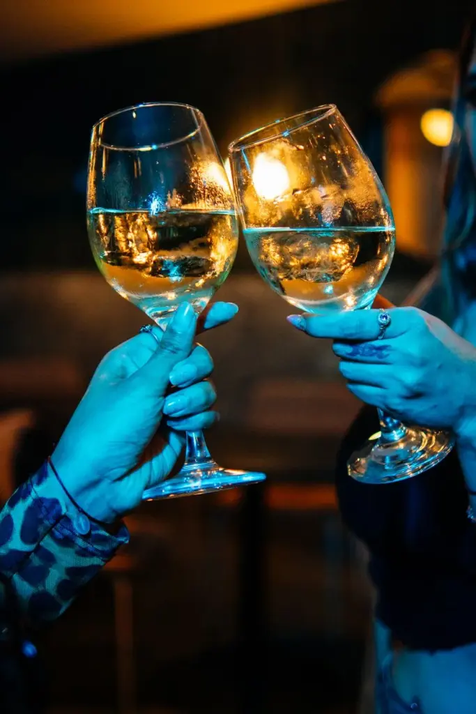 Two people toasting with wine glasses in a Buenos Aires bar, celebrating in a vibrant setting.