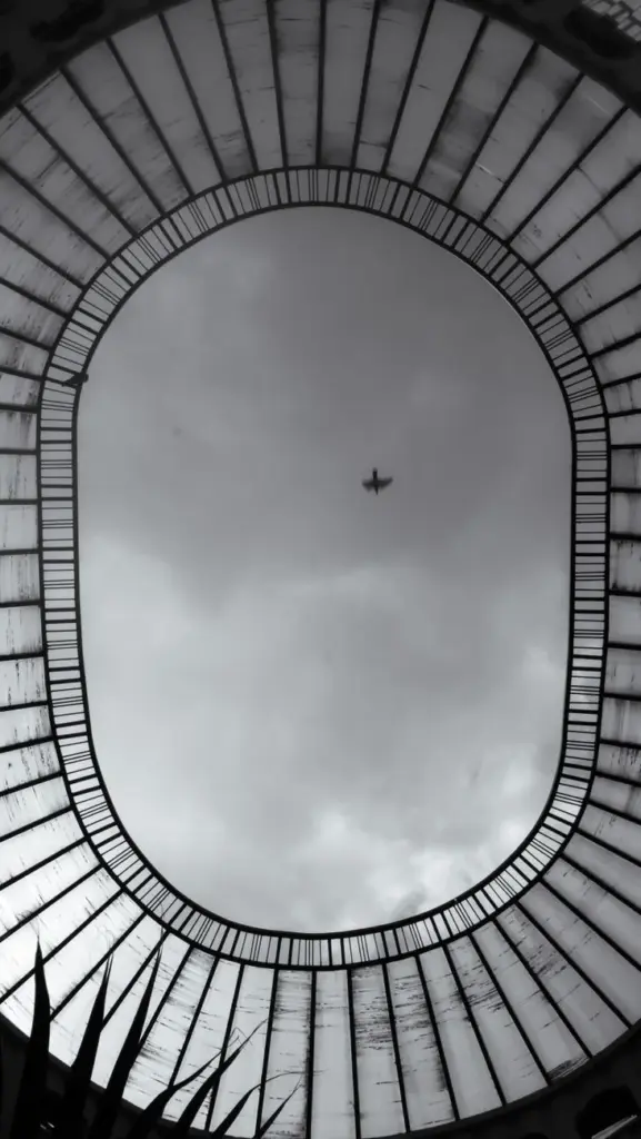 A small airplane soars above, seen through a unique urban architectural frame with overcast skies.