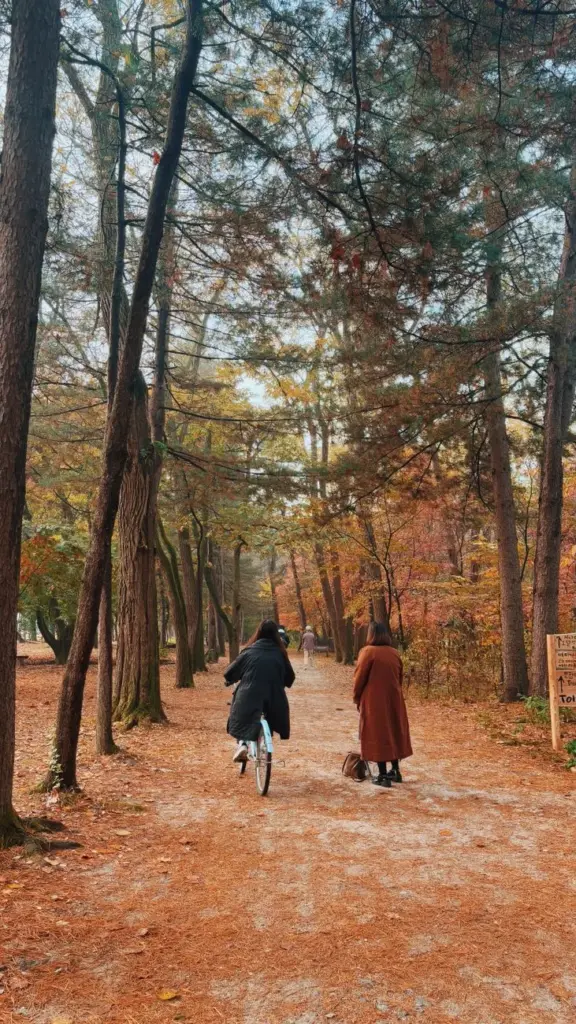 Two people enjoying a walk and bike ride through an autumn forest in Chuncheon, South Korea.
